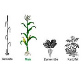 Nufarm kauft zu