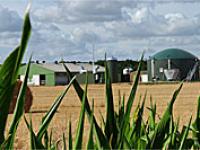 Wektec_Biogas.jpg 