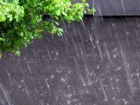 Regen.jpg 