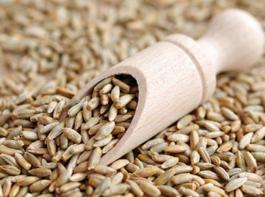 Ein Roggen-Forschungsprojekt soll die Vorteile des Allround-Getreides noch besser zur Geltung bringen.&copy; Andre B./fotolia.de