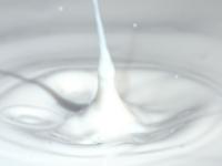  Milch