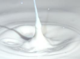 &copy; Djerraya/Fotolia