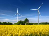 iStock_000018093445XSmall.jpg 