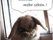 Teaser Bild