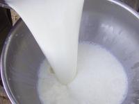 Milch-umschuetten.jpg 