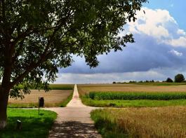 Die deutsche Landwirtschaft konnte ihren Umsatz im ablaufenden Jahr nochmals steigern.&copy; Andreas Hermsdorf/pixelio.de
