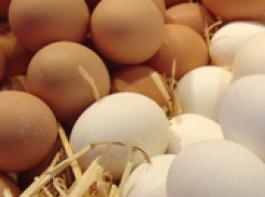 &copy; Hering/Fotolia