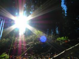 &copy; Horst Bauer/Fotolia