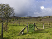 ft_l-pics.jpg Thüringen, Wiesen