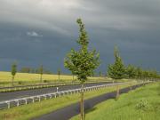 Teaser Bild