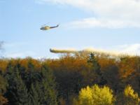 6_Vordruck_Waldkalkung_Foto_Kalken.jpg 