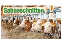 bbv_kampagne.jpg 