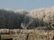 af_WinterlandschaftJ2-35675.jpg