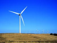 highwind_1071.jpg 