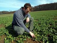 winterraps_fruehling_kontro.jpg Winterraps, Fr�hling, Kontrolle, Mann