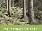 Teaser Bild