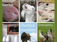 Grusskarten.jpg 