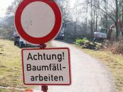 Teaser Bild