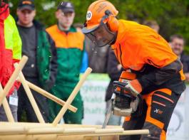 Thomas Wickert stellte einen neuen Deutschen Rekord in der Disziplin Entasten auf. In der Gesamtwertung belegte er Rang drei.&copy; Stihl