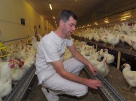 Eine Befragung deutscher Landwirte gibt Antworten darauf, wie Landwirte auf Debatten um Tierhaltung, aber auch Faktoren wie die Reform der Gemeinsamen Agrarpolitik reagieren.&copy; M�hlhausen/landpixel