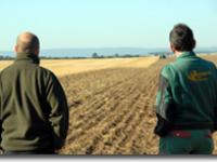  landwirte, mulchsaat, saat, erosion