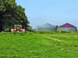 Rund ein Drittel Gras in der Ration vertr�gt jede Biogasanlage. Dar�ber hinaus m�ssen Betreiber die Anlagentechnik anpassen. Foto: Agrarfoto