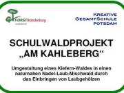 Teaser Bild