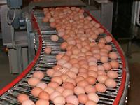 eier.af.jpg Eier
