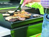 _dlz0811LebenGrillen1.JPG 