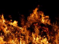 Waldbrand.jpg 