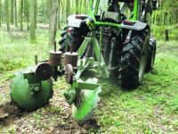 WaldPraxis_Naturverj�ngung_Foto_Schlepper.jpg 