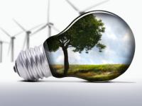 iStock_000007618481XSmall.jpg 