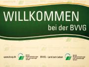 Teaser Bild