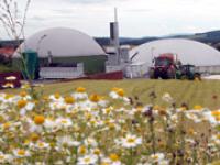 lp_Biogas_kamille.jpg Biogas