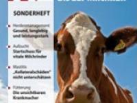 gesund_vom_kalb_zur_milchkuh.jpg 