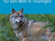 Teaser Bild
