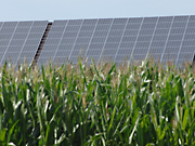 solar_freiflaechenanlage_lp.jpg