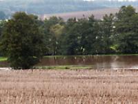 hochwasser_weide2.jpg 