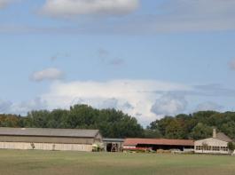 Landwirtschaftliche Fl�chen in Ostdeutschland kosteten 2010 im Schnitt um 27 Prozent mehr als noch im Vorjahr.&copy; hapo/landpixel