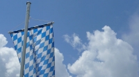 temp Image