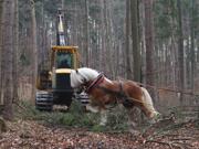 Teaser Bild