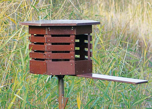 Enten-Wohnung preisgünstig -Bauanleitungen - SERVICE - jagderleben.de