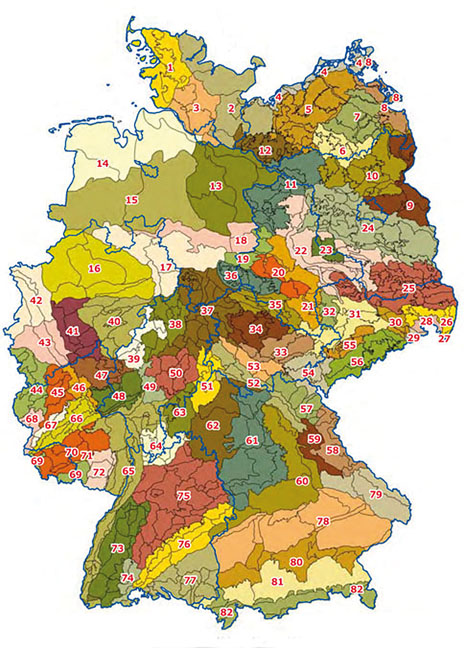 Deutschlands waldökologische Naturräume online - Waldkunde - Fachthemen