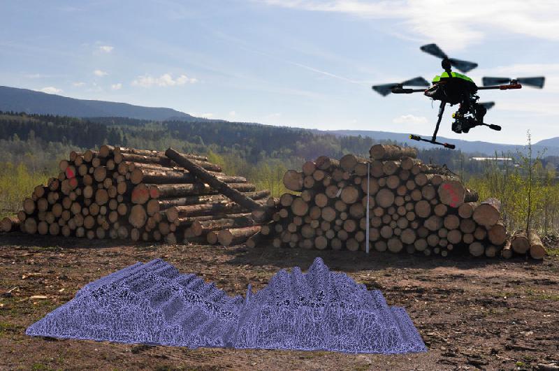 Drohnen über Wald, Feld und Flur - Waldkunde - Fachthemen