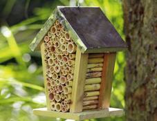 Insektenhotel selber bauen