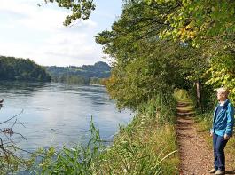 Schner Ausblick am  „Alten Rhein” bei Rdlingen.