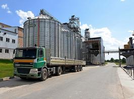 Aus der Ukraine kommen laut Bundeslandwirtschaftsministerium vier Prozent der weltweiten Weizenproduktion. 