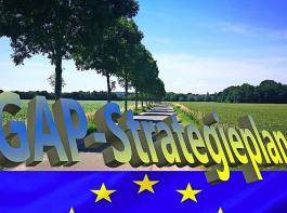 „Die Bürokratie wird weiter zunehmen und die finanzielle Attraktivität von Umweltleistungen wie Eco-Schemes abnehmen”, befürchtet DBV-Präsident Joachim Rukwied als Reaktion auf die Genehmigung des deutschen GAP-Strategieplans durch die EU-Kommission.