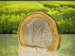 Im ungnstigsten Fall knnte sich durch Brsseler Haushaltskrzungen fr eine Reihe von Mitgliedstaaten das durchschnittliche landwirtschaftliche Einkommen um mehr als zehn Prozent verringern, schtzt die 
EU-Kommission.