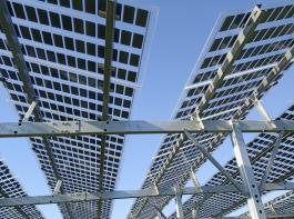 Die PV-Anlage in Munzingen ist mit fixierten, lichtdurchlässigen Sonnenpanelen ausgerüstet, die einen Transparenzgrad von 48 Prozent besitzen.
